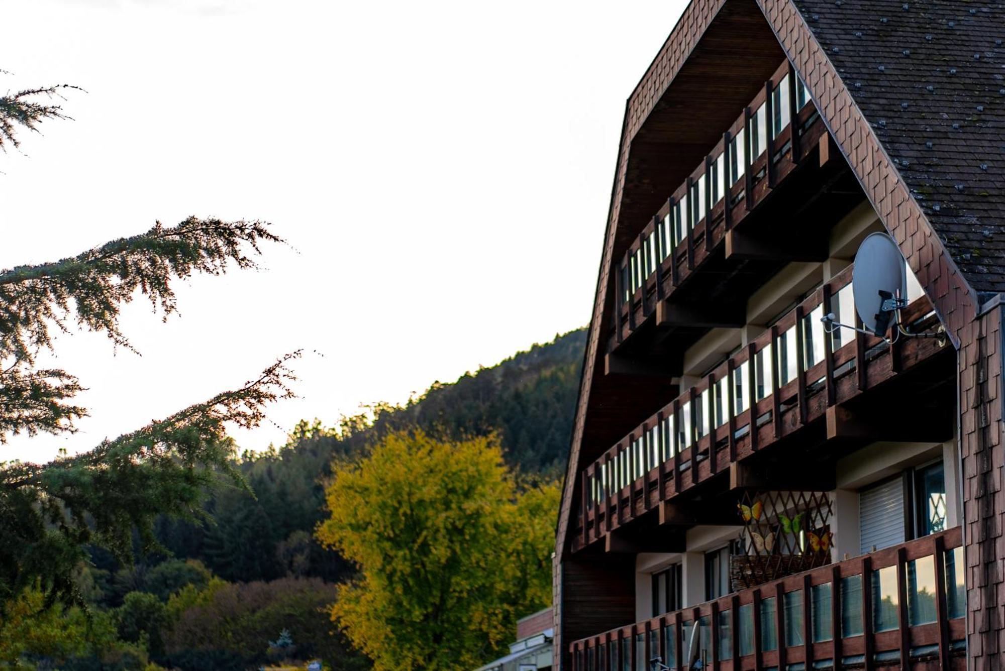Village Vacances Cap France La Bolle Saint-Die-des-Vosges Екстер'єр фото